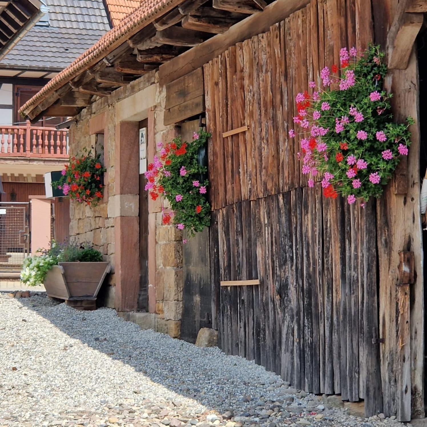 Chambres D'Hotes Chez Linda Stephane Le Passe Compose Preuschdorf Buitenkant foto